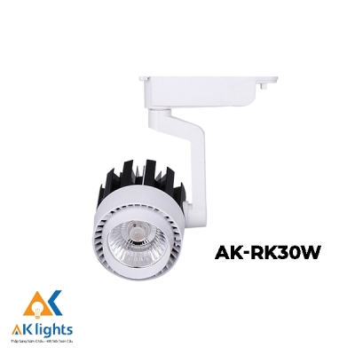 Đèn Rọi Ray Khuỷu 30W