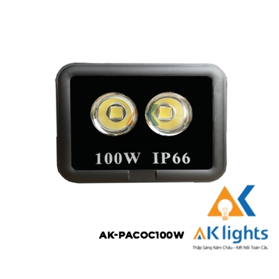 Đèn Pha Cốc 100W